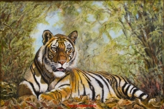Animals