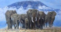 Tembo