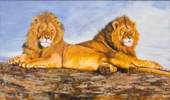 Simba Brothers