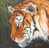Tiger Head
