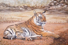 Royal Bengal H24xW36
