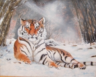 Siberian Beauty