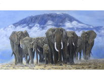Tembo