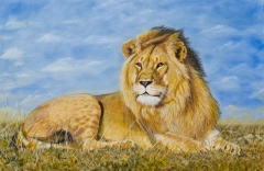 Simba